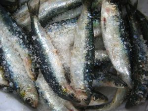 fresh-salted-fish-1326889